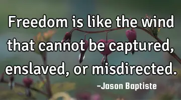 Freedom is like the wind that cannot be captured, enslaved, or