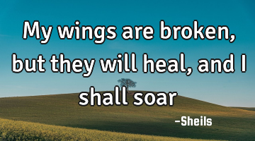 My wings are broken, but they will heal, and I shall soar