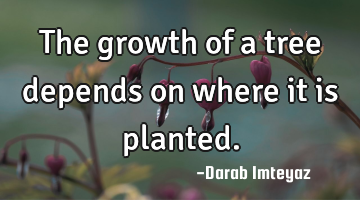 The growth of a tree depends on where it is planted.